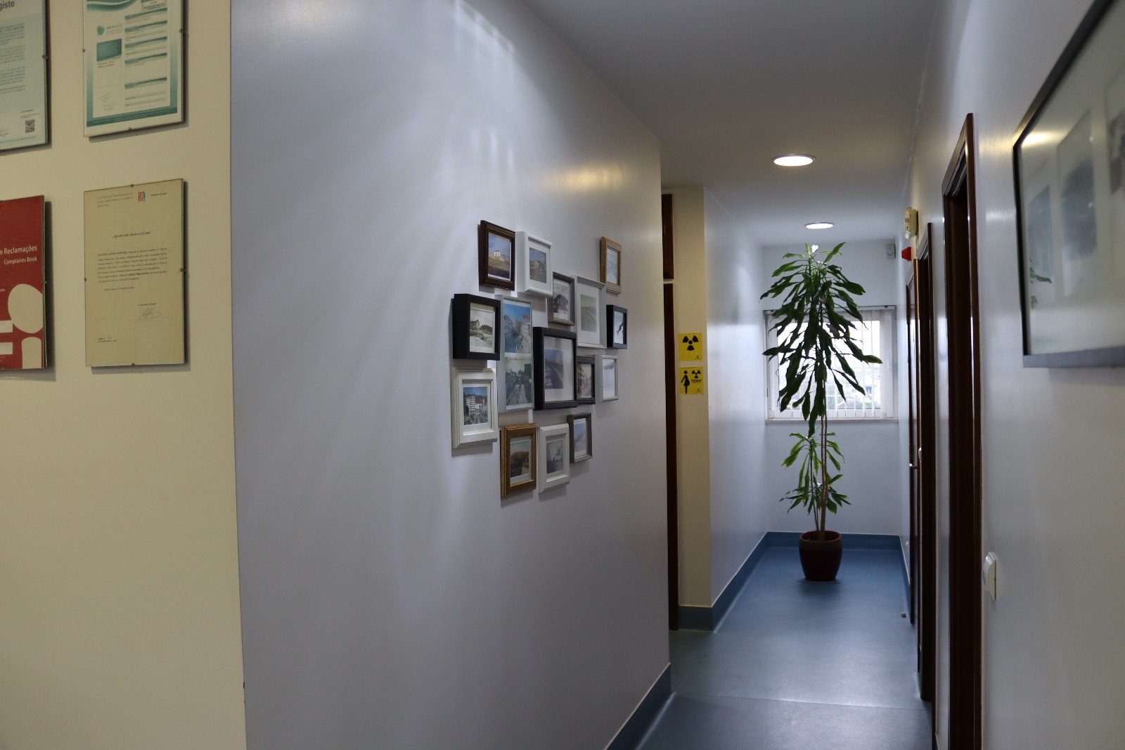 20201118164654_IMG_0422